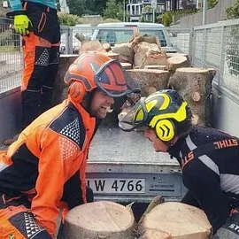 To personer i arbeidsklær løfter store vedkubber opp på en tilhenger.